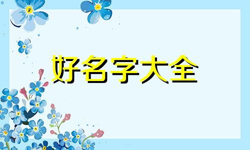 六角龙如何起名字好听点