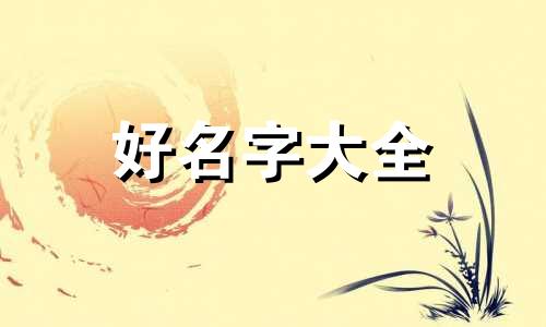 珍珠鸟如何起名字大全好听