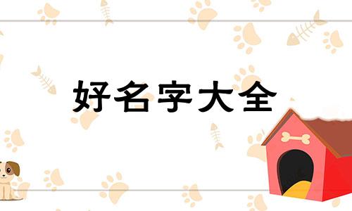 如何为夜市起名称好听的名字