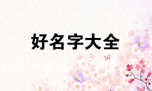 碳锅鱼开店如何起名字好听点