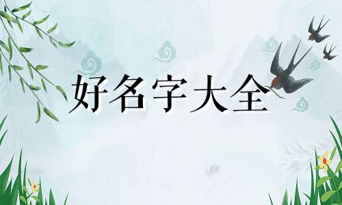 两只猫咪如何起名字好听点