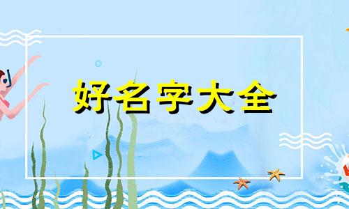 养两只猫如何起名字好听