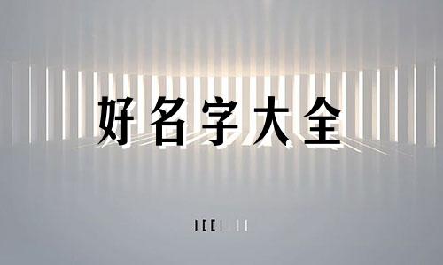 如何给玩具起名字可爱一点
