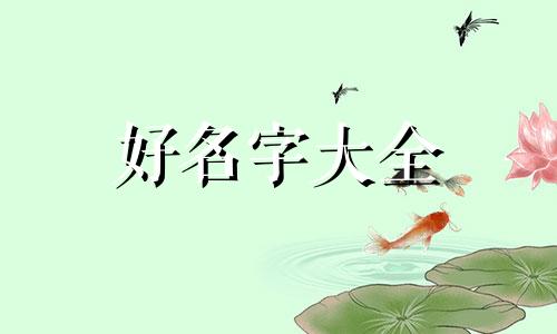 如何为营业执照起名字大全