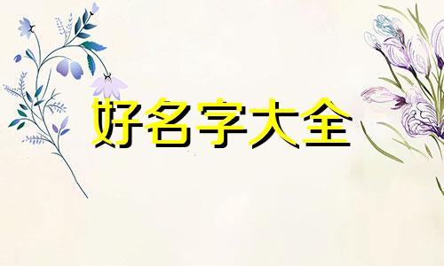 如何给体适能培训机构起名字