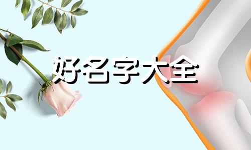 孙子姓董不知道如何起名字