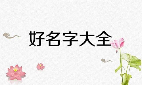 老鹅餐饮如何起名字的好听点
