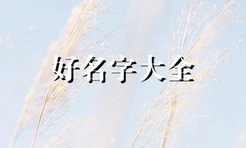 如何给披萨起名字大全好听