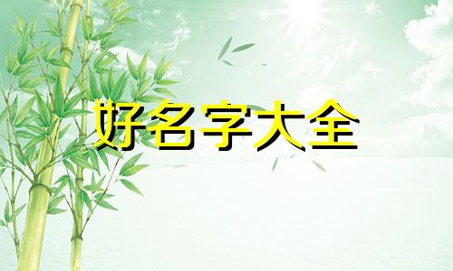 汽车号如何起名字好听一点