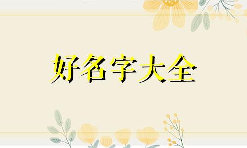 二次元网站如何起名的视频