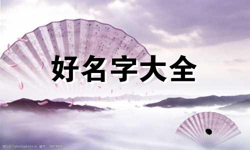 惠美公司名称如何起名字