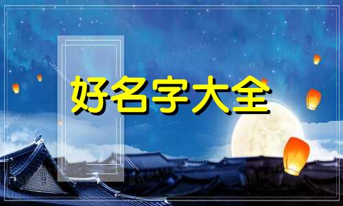仓鼠一对如何起名字的图片