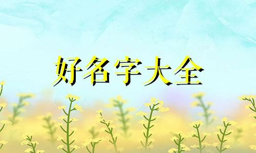 宝宝五行缺金如何起名字