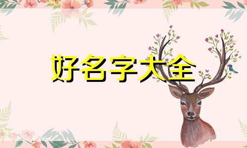 如何给自己的训练计划起名字