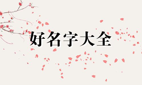 博肖粉如何给自己孩子起名字