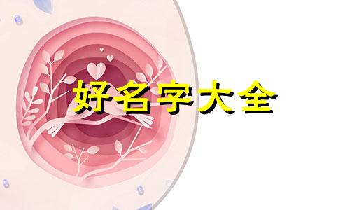 如何下载起名字的康熙字典