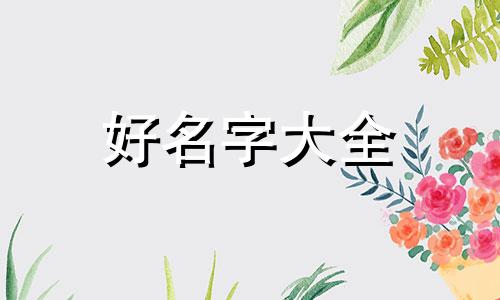 三只荷兰猪如何起名字
