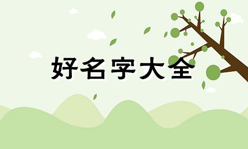 12岁的孩子如何给猫起名字