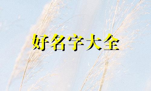 甜瓜如何起名好听一点儿