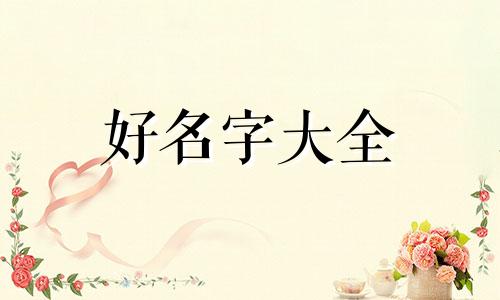 如何给低卡零食起名字