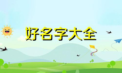 如何给奶牛猫起名字和口号大全