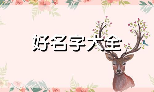 姓氏黎双胞胎男孩如何起名字