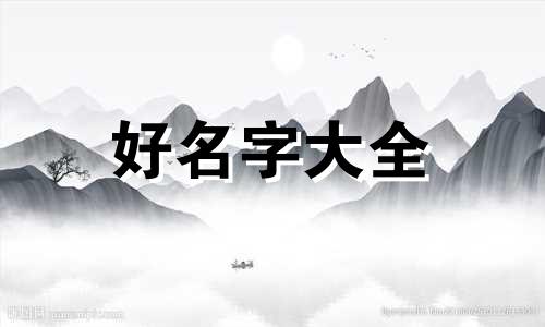 如何帮小猫起名字可爱一点