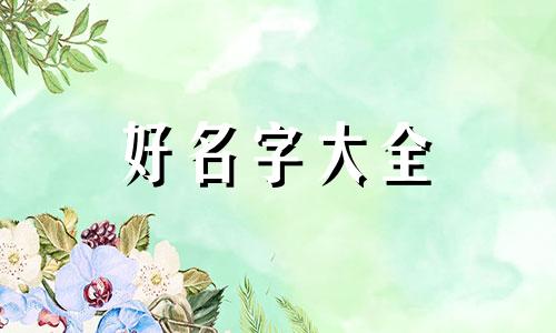 如何给加菲美容院起名字