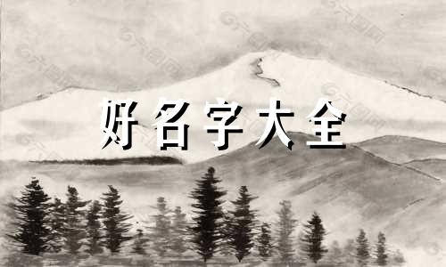 买家电如何起名字好听一点