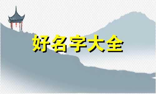 如何给流浪者起名称好听