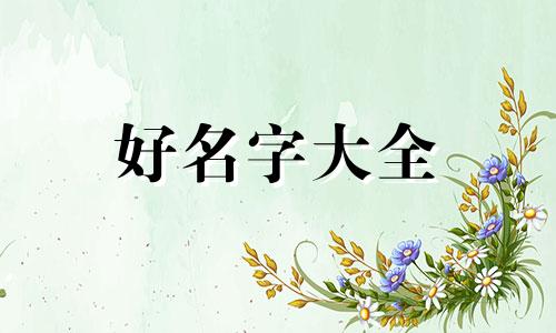 如何给女包起名字大全好听