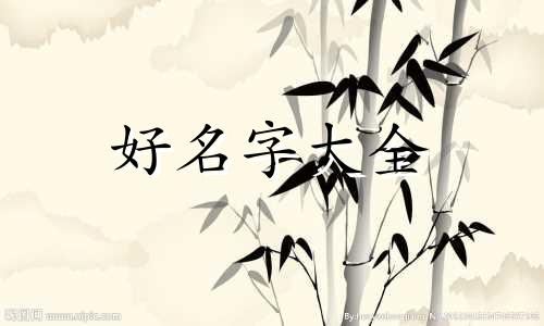 男姓胡女姓聂如何起名字好听