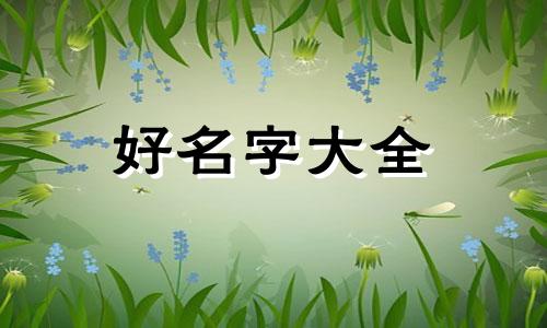罗姓男生如何起名好听一点