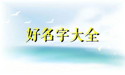 服饰店营业执照如何起名字