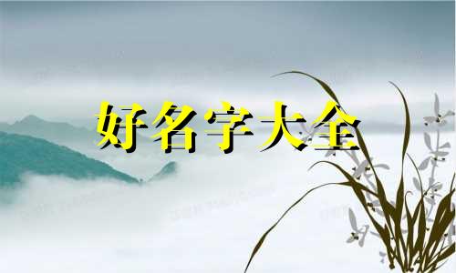 姓沈的女孩子如何起名字
