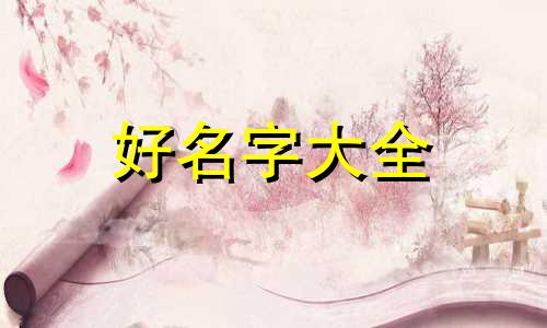 美国人如何给孩子起名字的