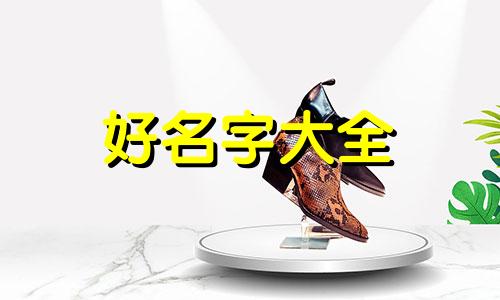 玫瑰花素描如何起名称好听