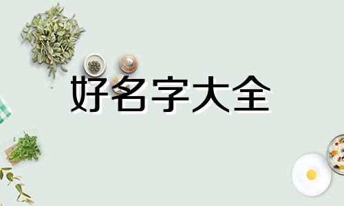 姓卢如何起名子男孩两个字