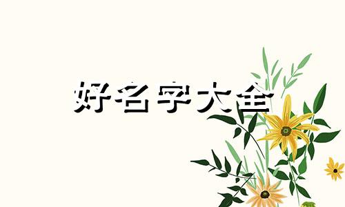 虎娃如何起名好听一点的名字