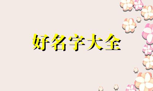 狸花猫如何起名字可爱一点
