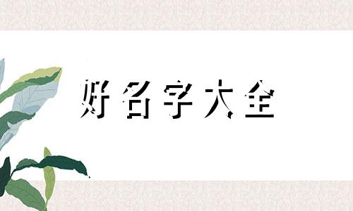 老酸奶如何起名字好听一点