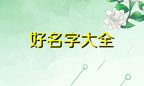 欧美人是如何起名字的呢视频