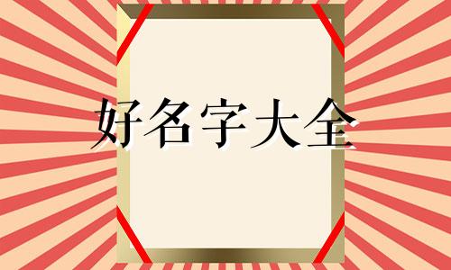如何给排骨起名字好听洋气点的