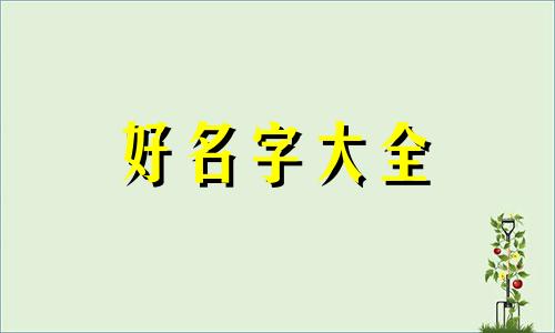 五行属火的姓如何起名男孩