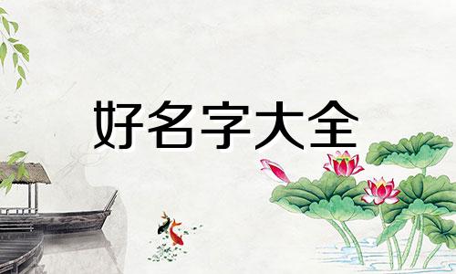 新能源公司充电站如何起名字