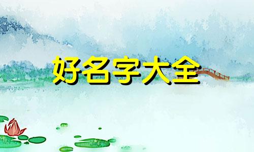 如何给放养的家猫标记起名字