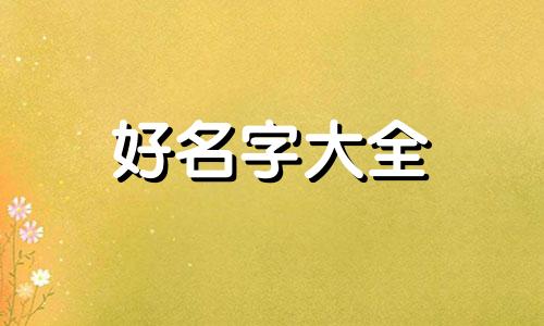 尚和胡姓的孩子如何起名字