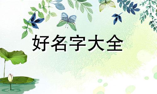 做零食如何起名字好听点