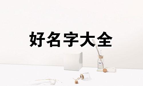 如何给小公鸡起名字和口号