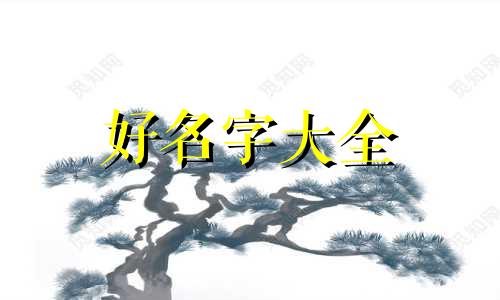 如何起名爱豆英文名字男